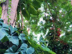 -北京植物园-展览温室