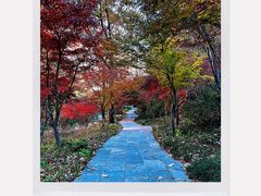 -大伊山景区