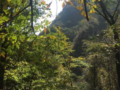 -大岭沟猕猴桃谷风景区