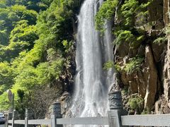 -陕西省红河谷森林公园