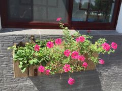 丫丫蟹庄农家乐-丫丫蟹庄·苏式园林农家乐·阳澄湖大闸蟹(阳澄湖莲花岛店)