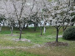 -堤角公园