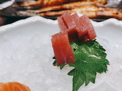 -黑松白鹿(崇文门新活馆店)