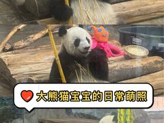 -海南热带野生动植物园