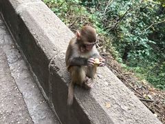 -黔灵山公园-南门售票处