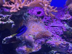 -泉城欧乐堡海洋极地世界