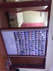 -维纳斯专业减肥