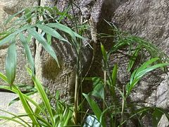 -青青世界