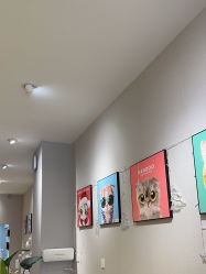 -洗脸猫·洗脸吧