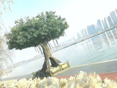 -咸阳湖景区