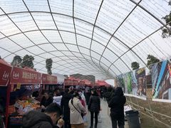 -秀丽东方