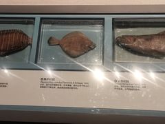 -舟山博物馆