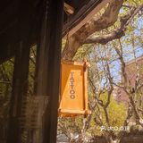 咖啡探店☕️又发现一家新开的宝藏咖啡店