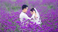 -易摄影婚纱摄影工作室