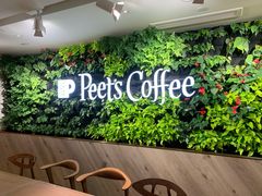 -Peet's Coffee皮爷咖啡(大学路店)