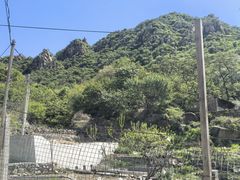 -大岭沟猕猴桃谷风景区