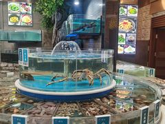 -金海湾海鲜总店