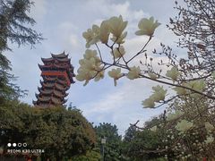 -塔子山公园