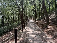 -苏州上方山国家森林公园