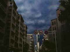 -紫峰大厦