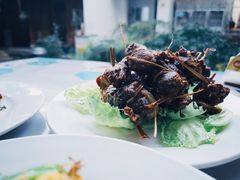 -翕庐小苑