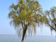 -阳澄湖半岛旅游度假区