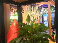 -牛上牛吊炉烧烤(红旗大街店)