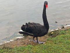 -琅岐红光湖公园