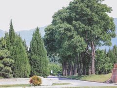 -秦始皇帝陵博物院-丽山园