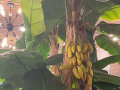 -上下九广州菜馆(锦业路店)
