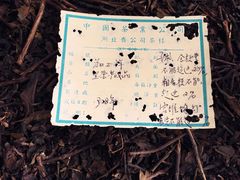 -羊楼洞