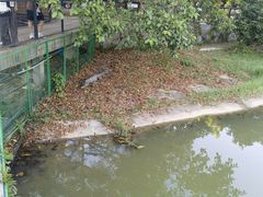 -泉州海丝野生动物世界