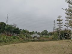 -王借岗森林公园