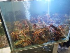 -张师傅烧烤(CBD店)