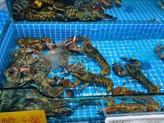 -新农都水产市场
