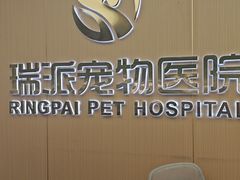 -瑞派康怡24h宠物医院·犬猫医疗中心·微创绝育(瑞景分院)