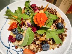 -唐猫庭院·千年陕菜(大唐不夜城店)