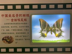 -上海昆虫博物馆