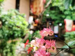 -五邑人家(江门店)