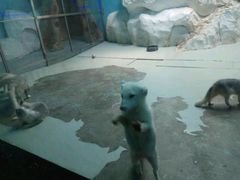 -泉城欧乐堡海洋极地世界
