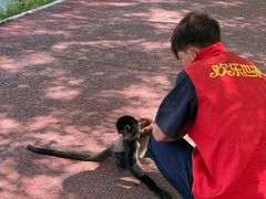 -水上乐园·欢乐世界