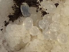 -糖潮糖水铺(省府店)