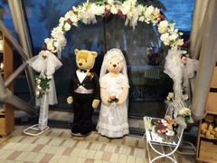 android_upload_pic-济州岛泰迪熊博物馆