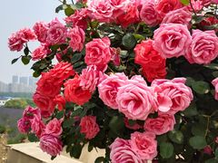 -雪浪山卡丁车俱乐部