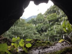 黄陂清凉寨-清凉寨景区