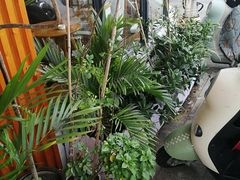 -鸥迪足道(湖南示范店)