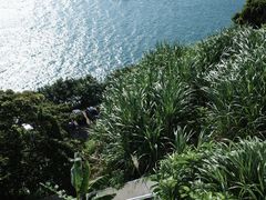 -蜜悦·波西塔诺悬崖海景餐厅