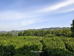 -乌石村