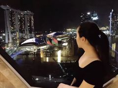 -新加坡丽思卡尔顿美年酒店