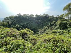 -海口火山口国家地质公园